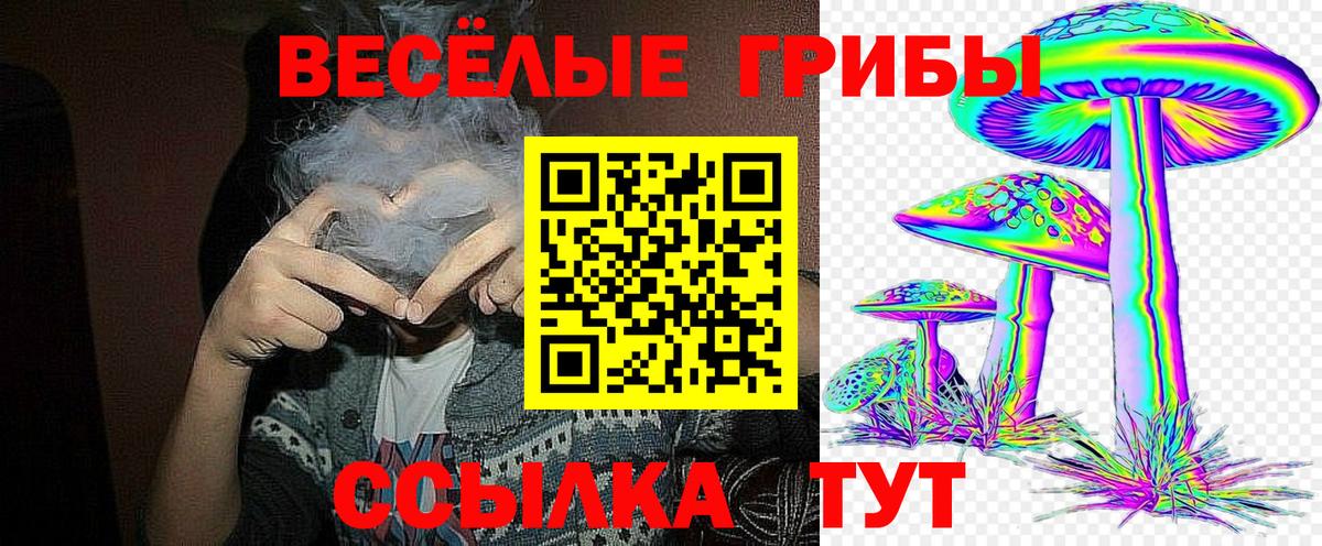 Галлюциногенные грибы Psilocybe  Вход с VPN  Йошкар-Ола 